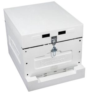 Basic Lyson Complete Hive