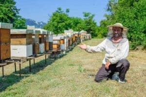 Man with Beehives