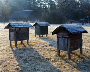 What temperature is too cold for honeybees?