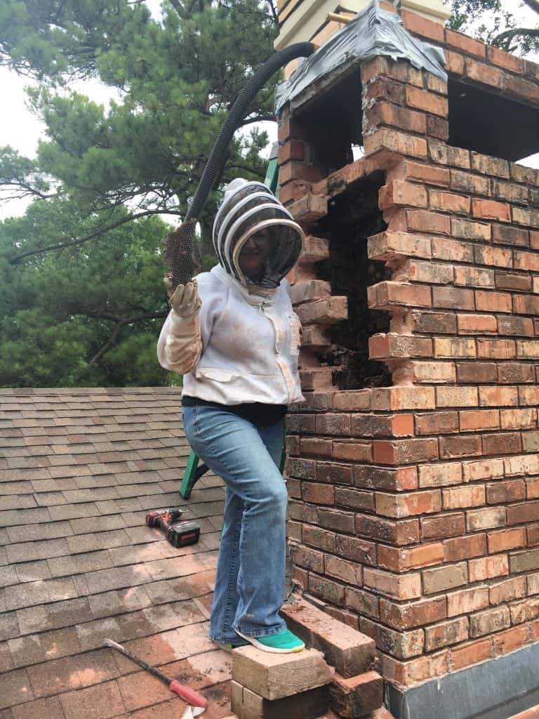 The many ways to enjoy bees