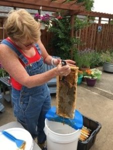 What should I do with honey frames after extraction? 